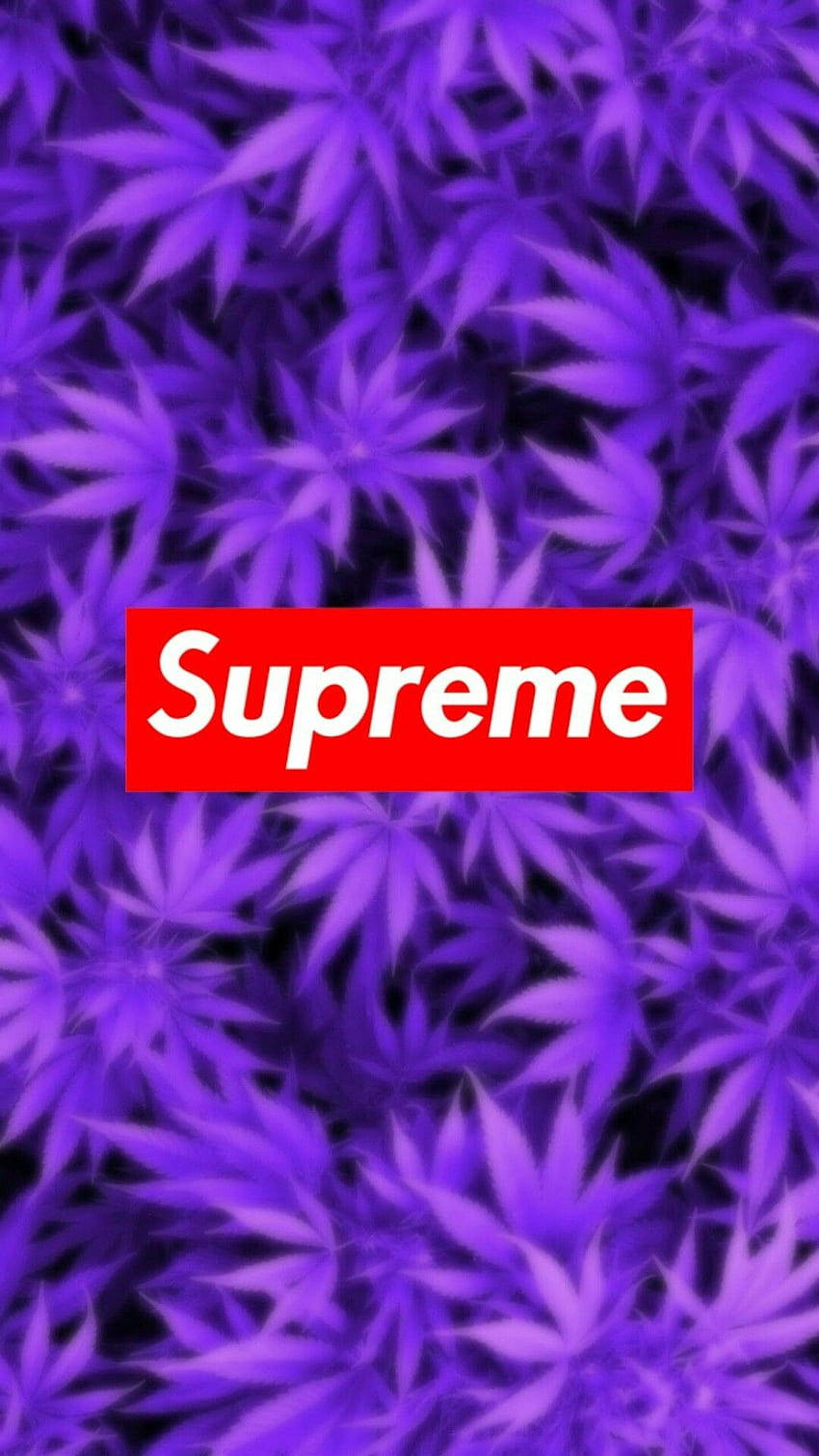 Supreme Aesthetic Red On Purple Background