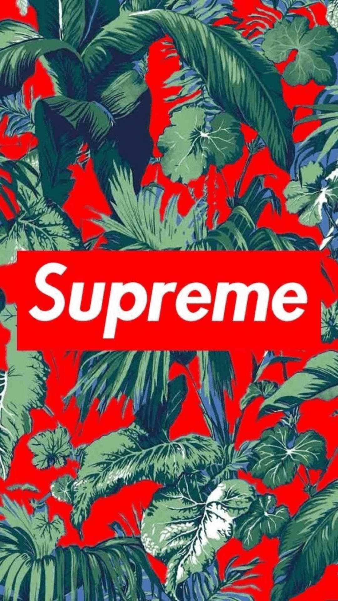 Supreme Logo On Leaves Background