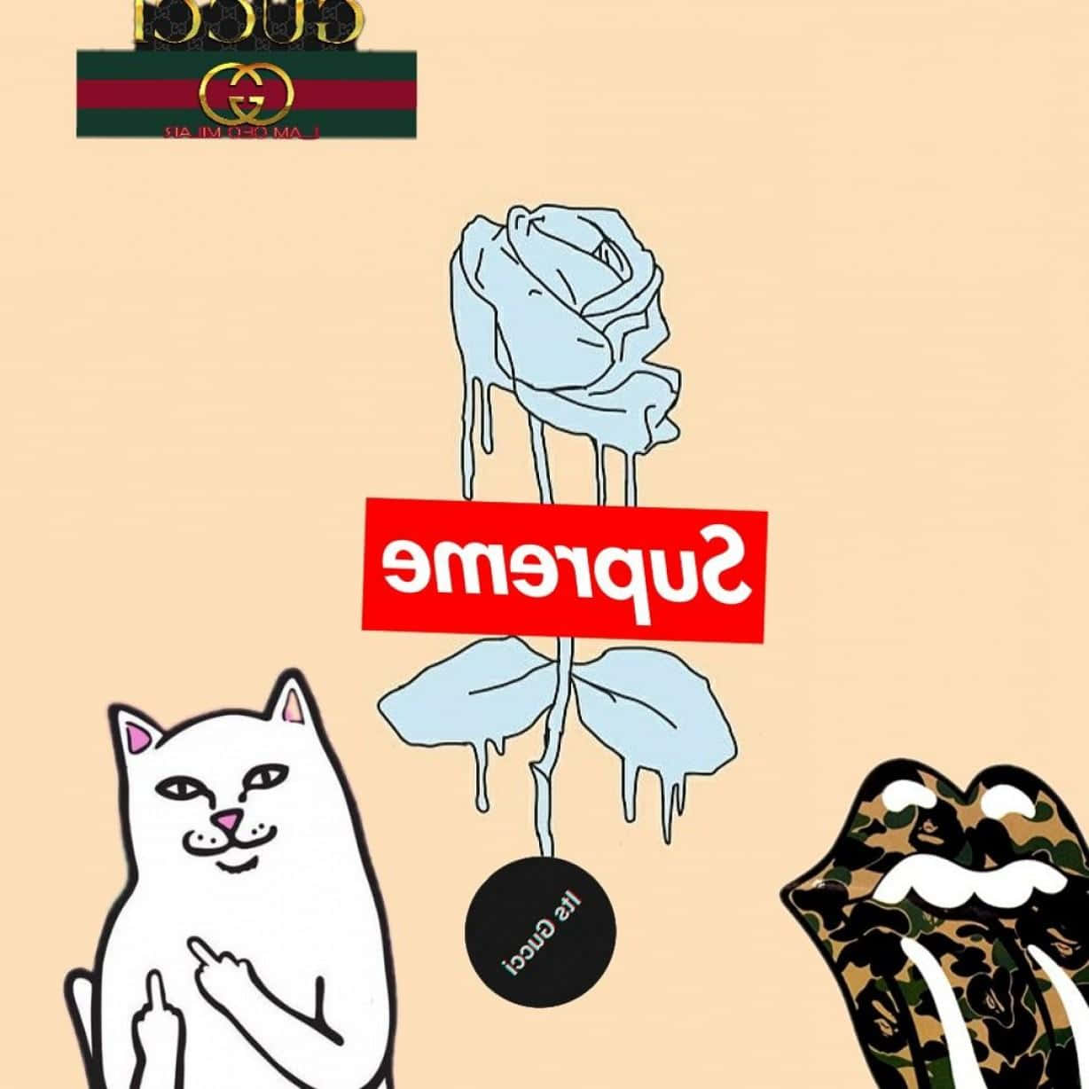 Supreme X Gucci - A Cat And A Rose Background