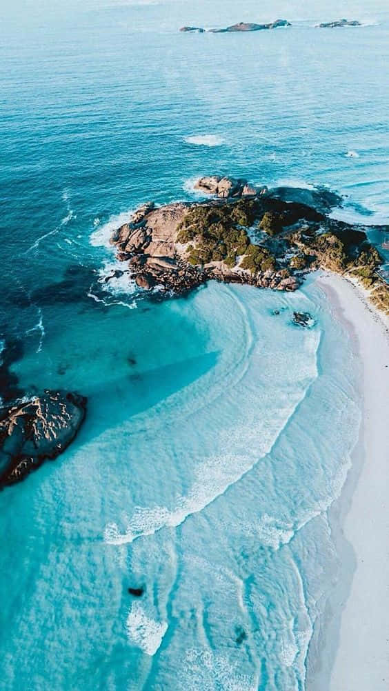 Surf Through Life! Background