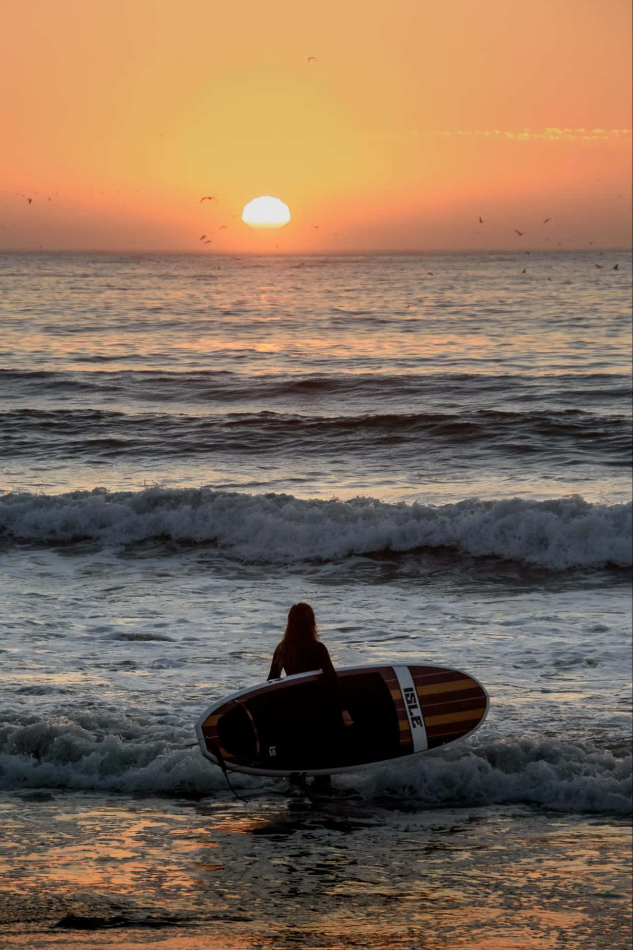 Surfer On Shallow Shore