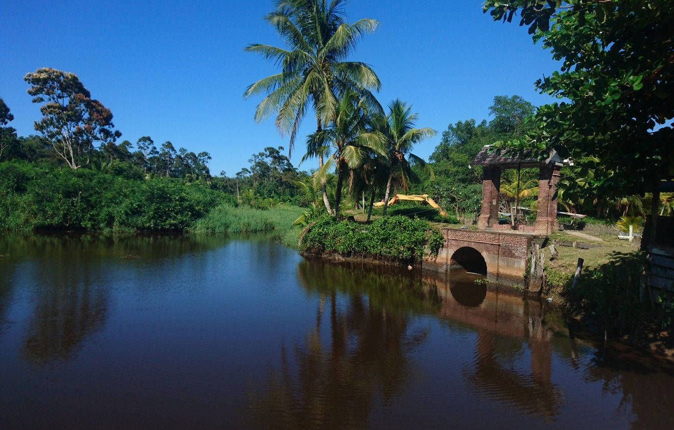 Suriname Dark River Background