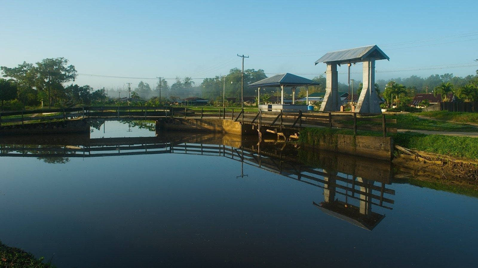 Suriname Fish Pond Background