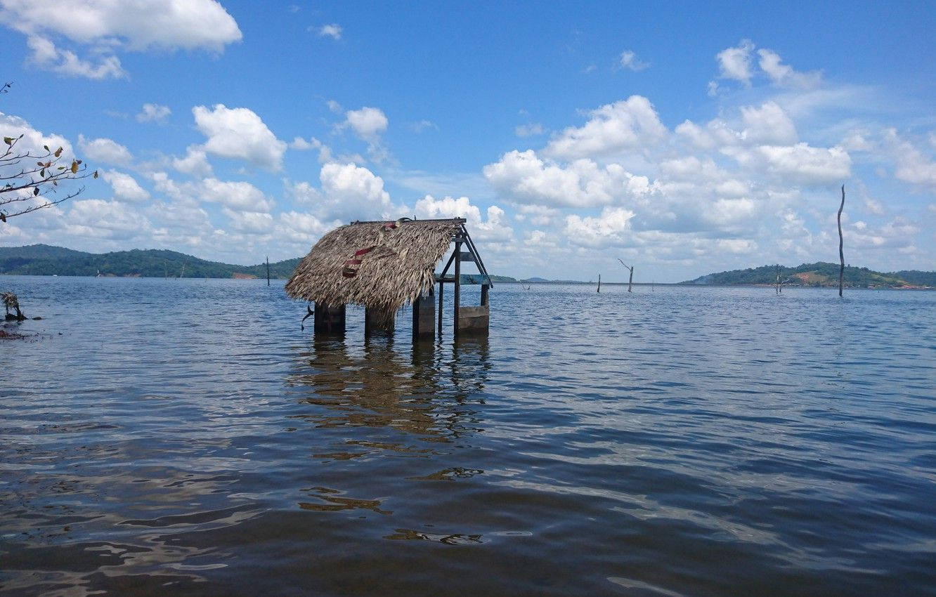 Suriname Hut Background