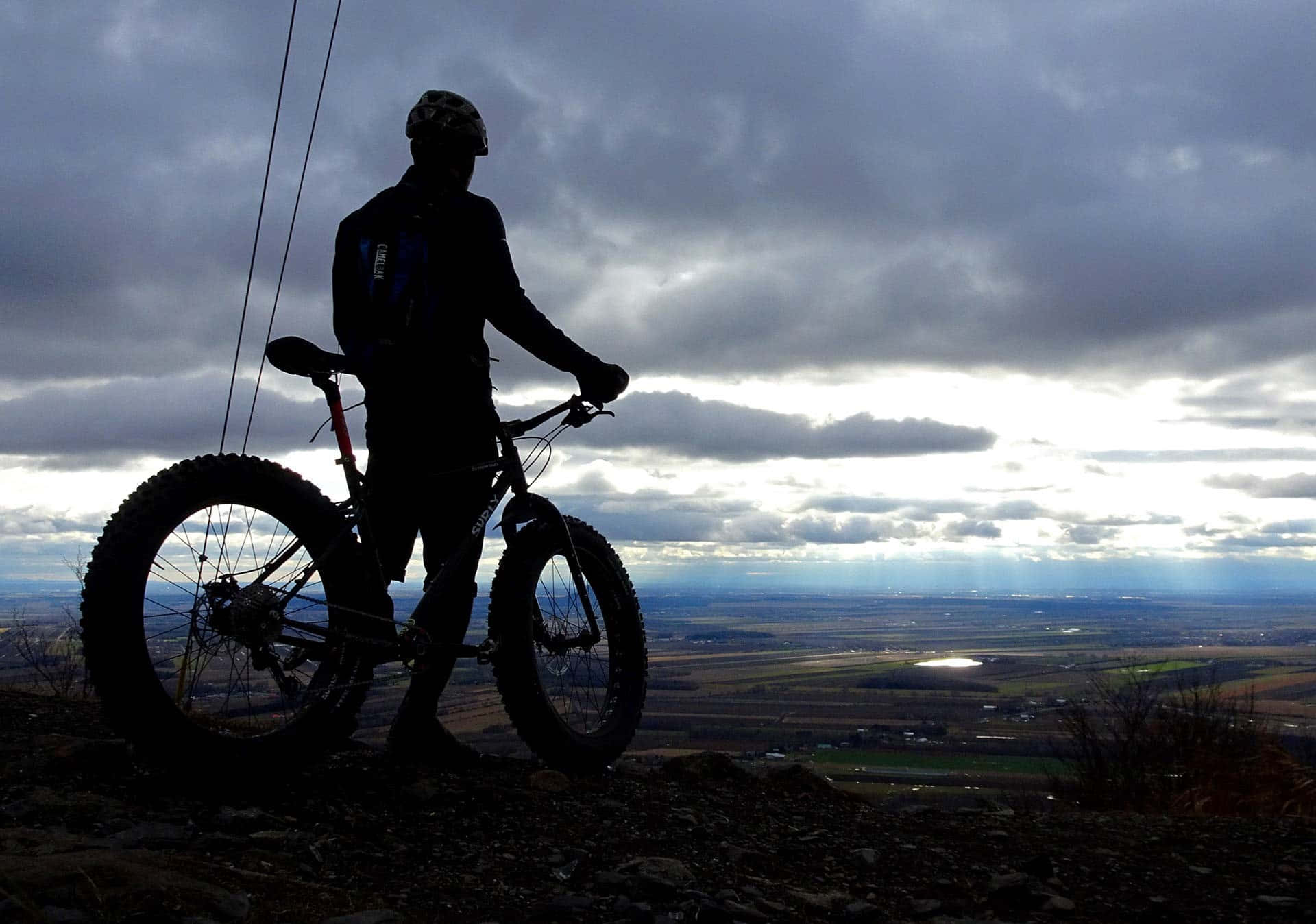 Surly Bike Rider Silhouette