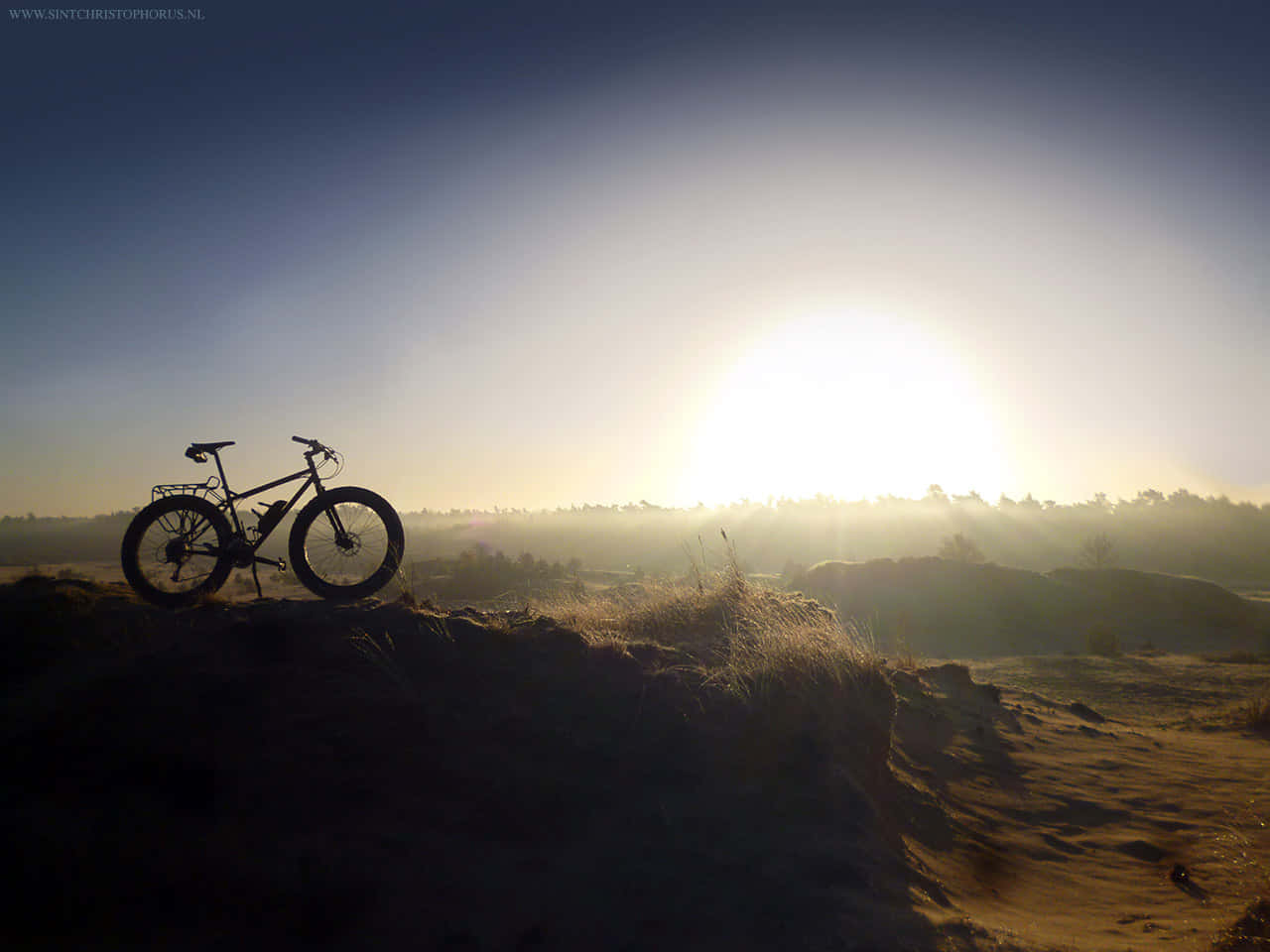 Surly Bike Silhouette