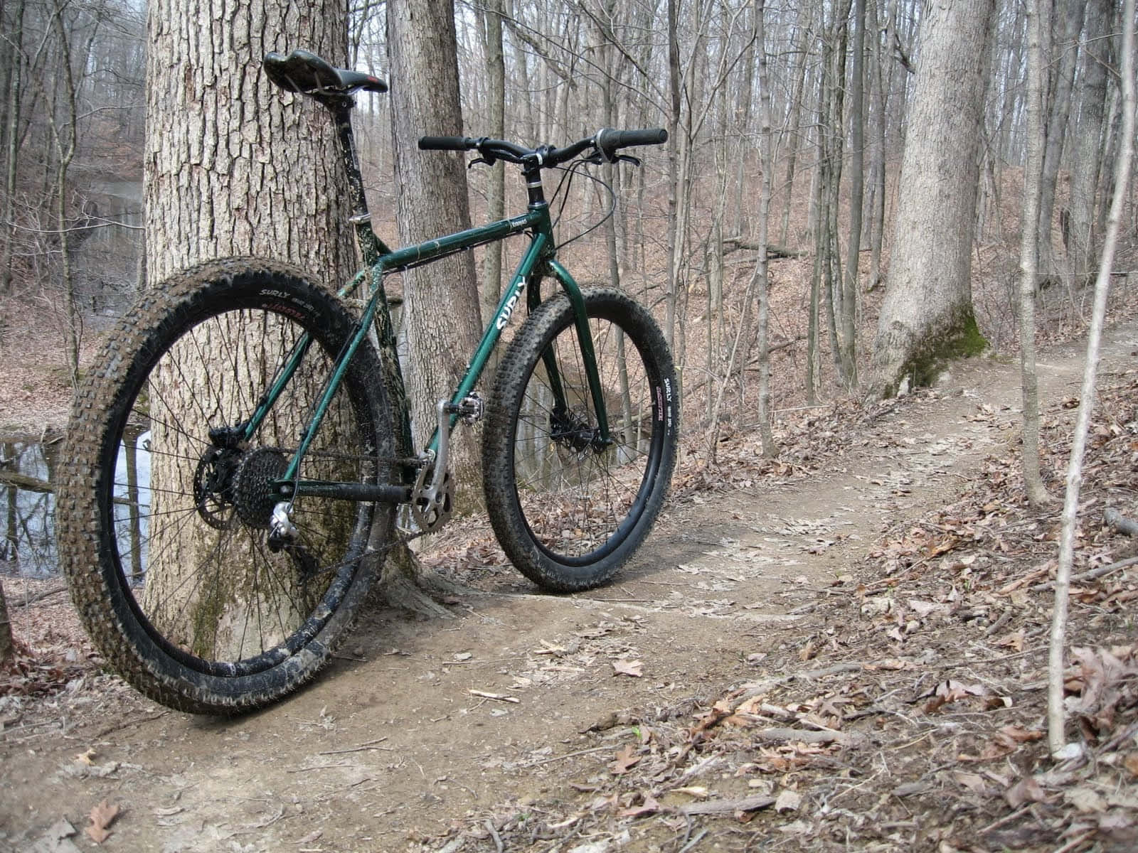 Surly Fat Bike Back View Background