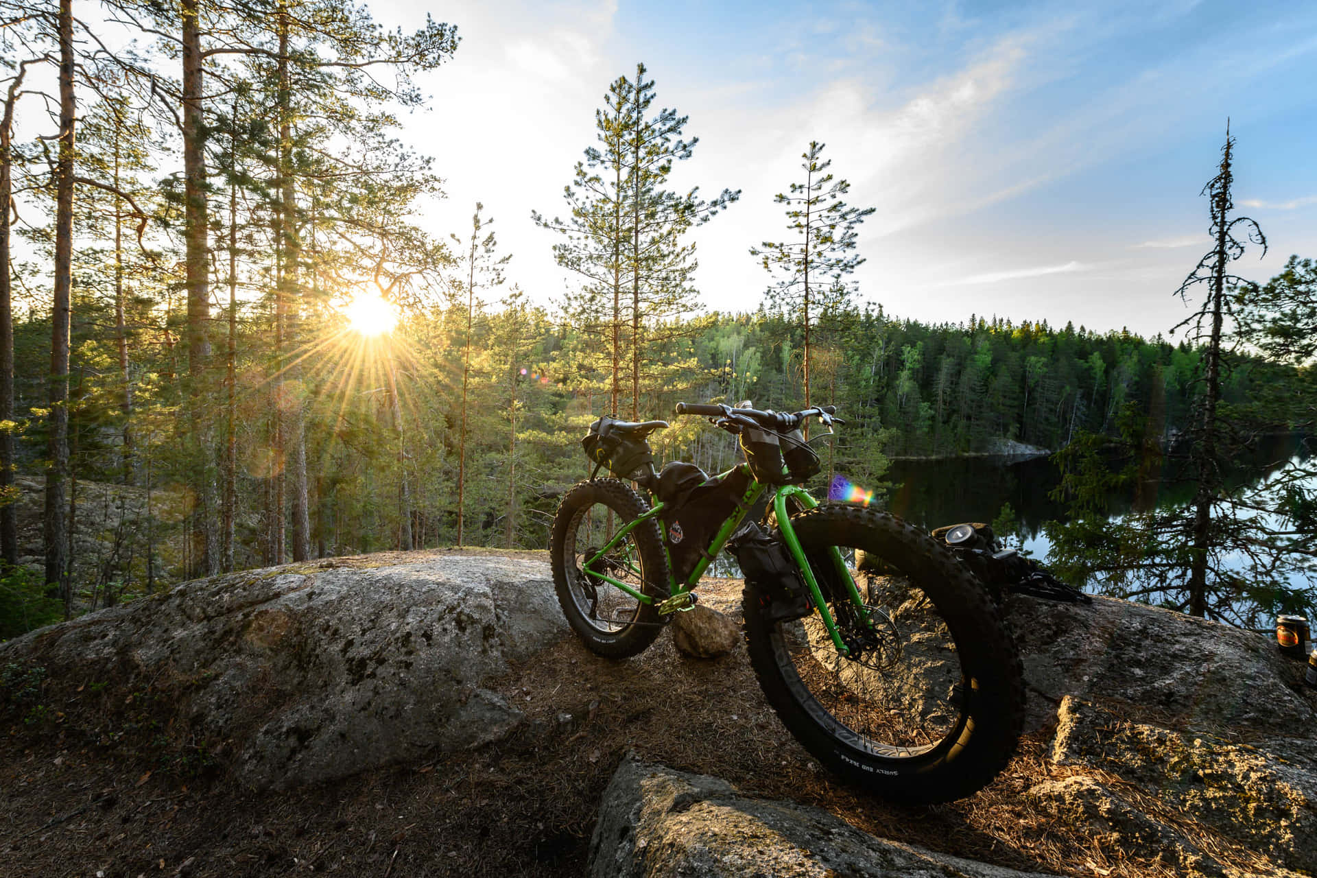 Surly Ice Cream Truck Sunshine View