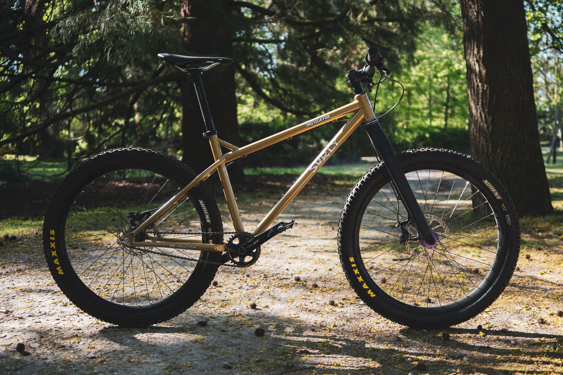 Surly Instigator Bike Background