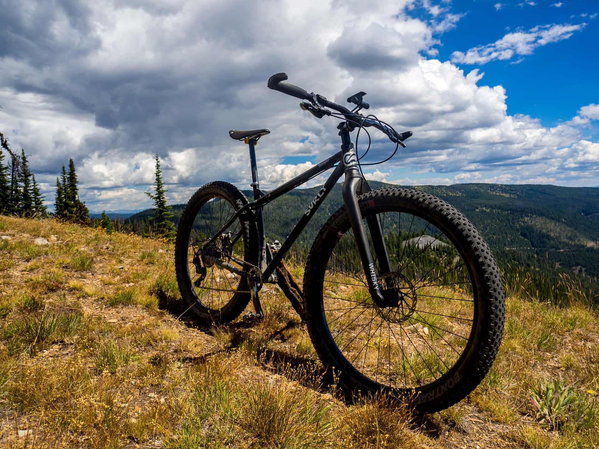 Surly Krampus Super Bike Background