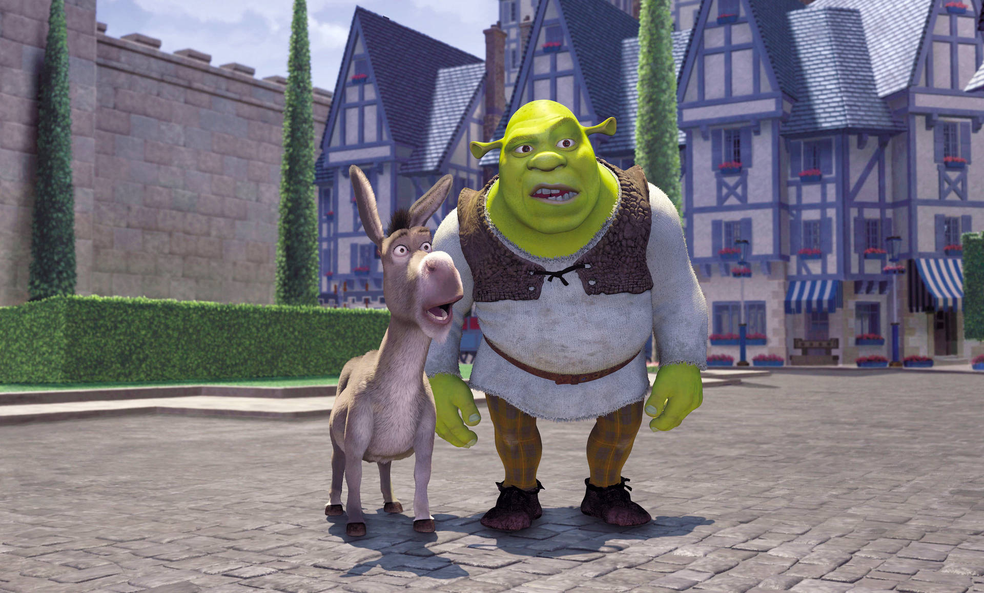 Surprised Donkey And Shrek 4k Background