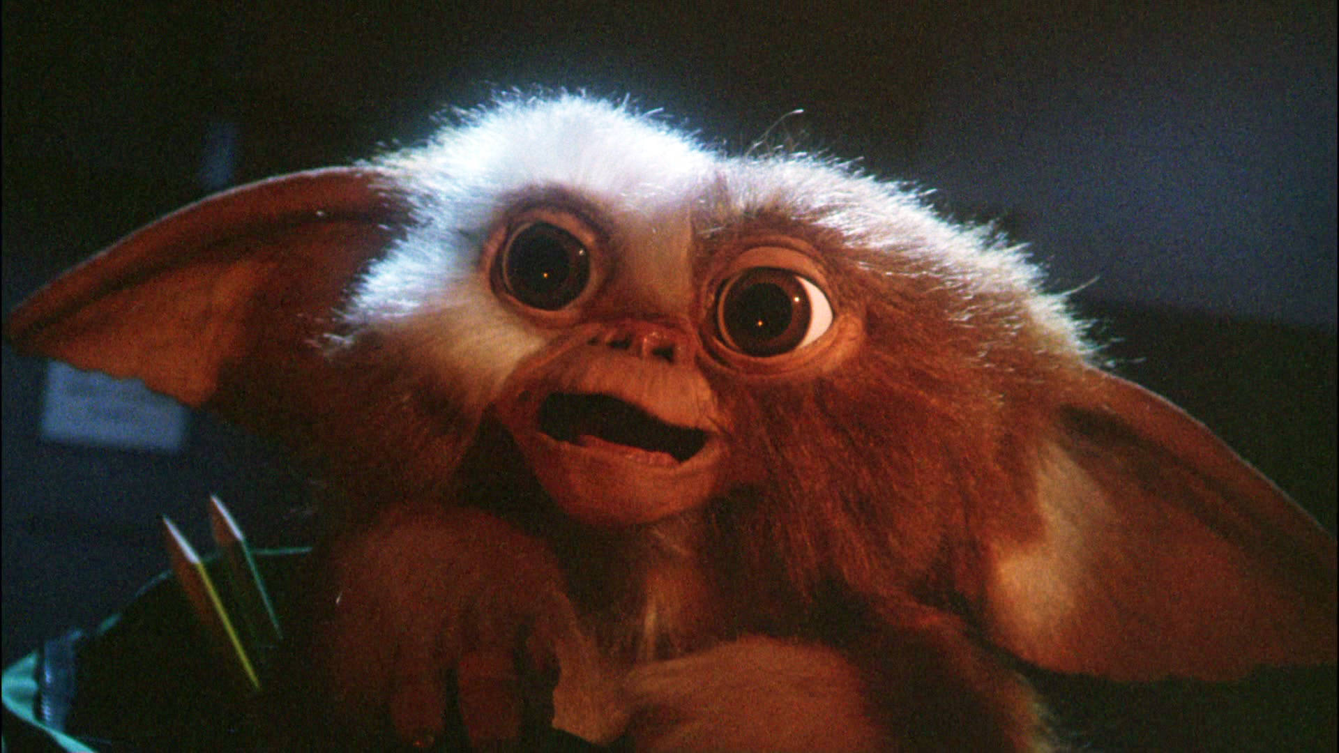 Surprised Gremlins Character Background