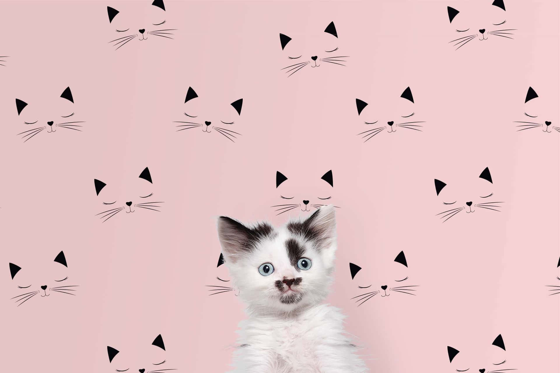 Surprised Kitten Pink Cat Pattern.jpg