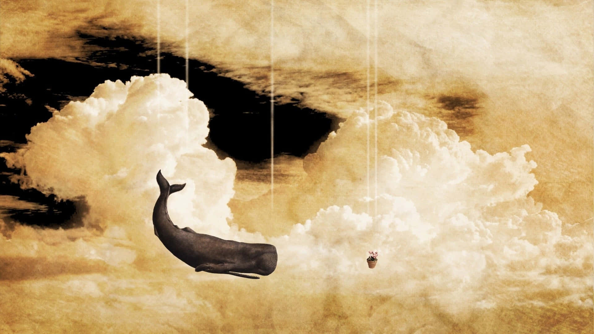 Surreal Art Flying Whale Through The Clouds Background