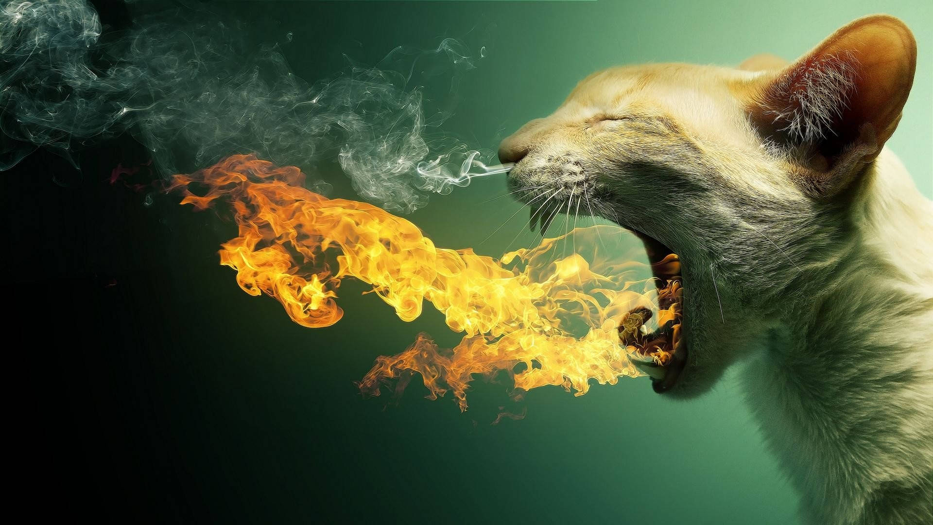 Surreal Fire Cat In A Mystical Realm Background