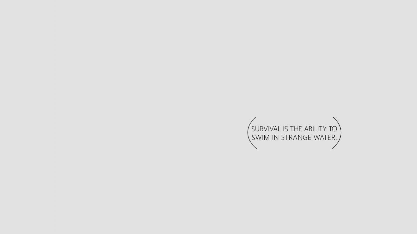 Survival Minimal Aesthetic Desktop Background