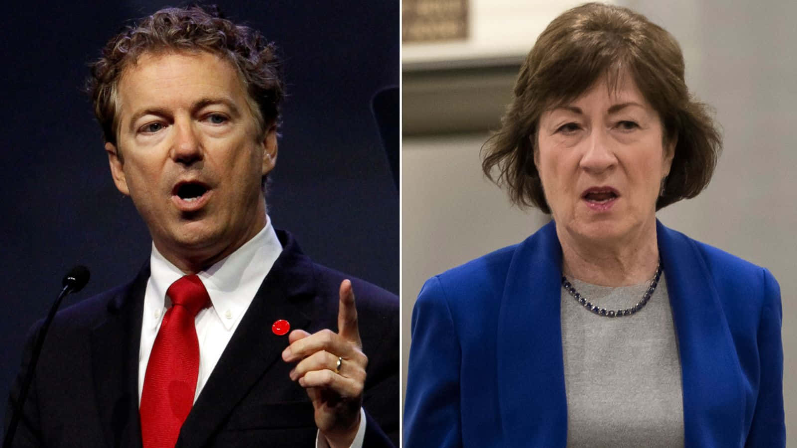 Susan Collins And Contender Background