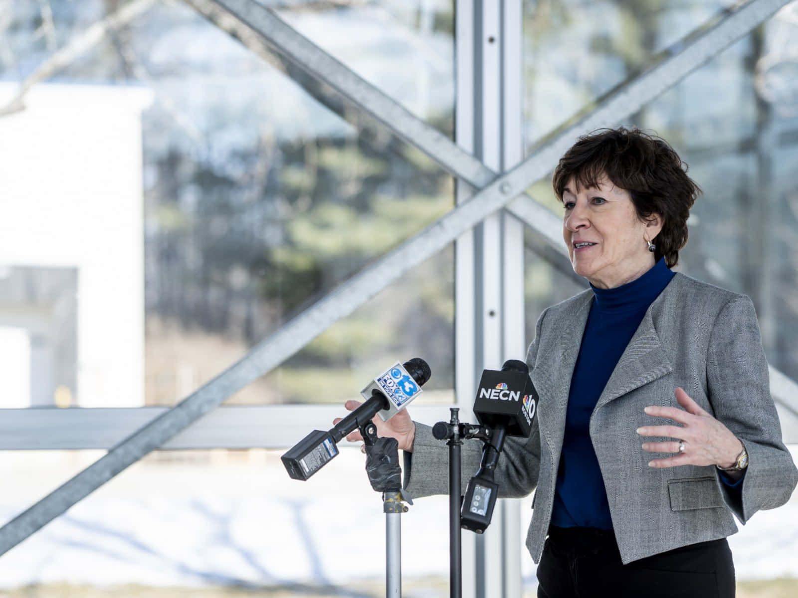 Susan Collins At Live Press Interview Background