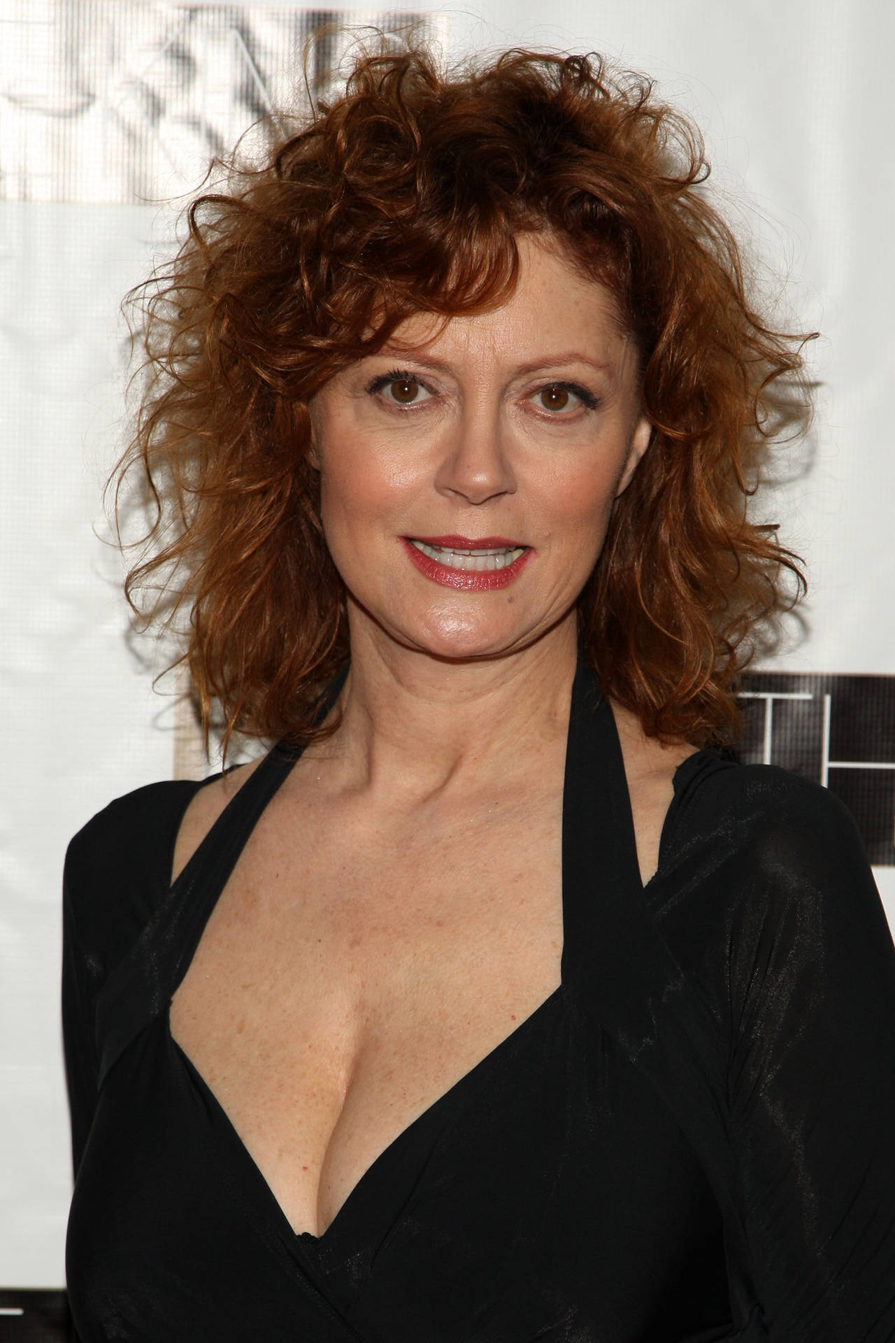 Susan Sarandon Academy Award Winner Background