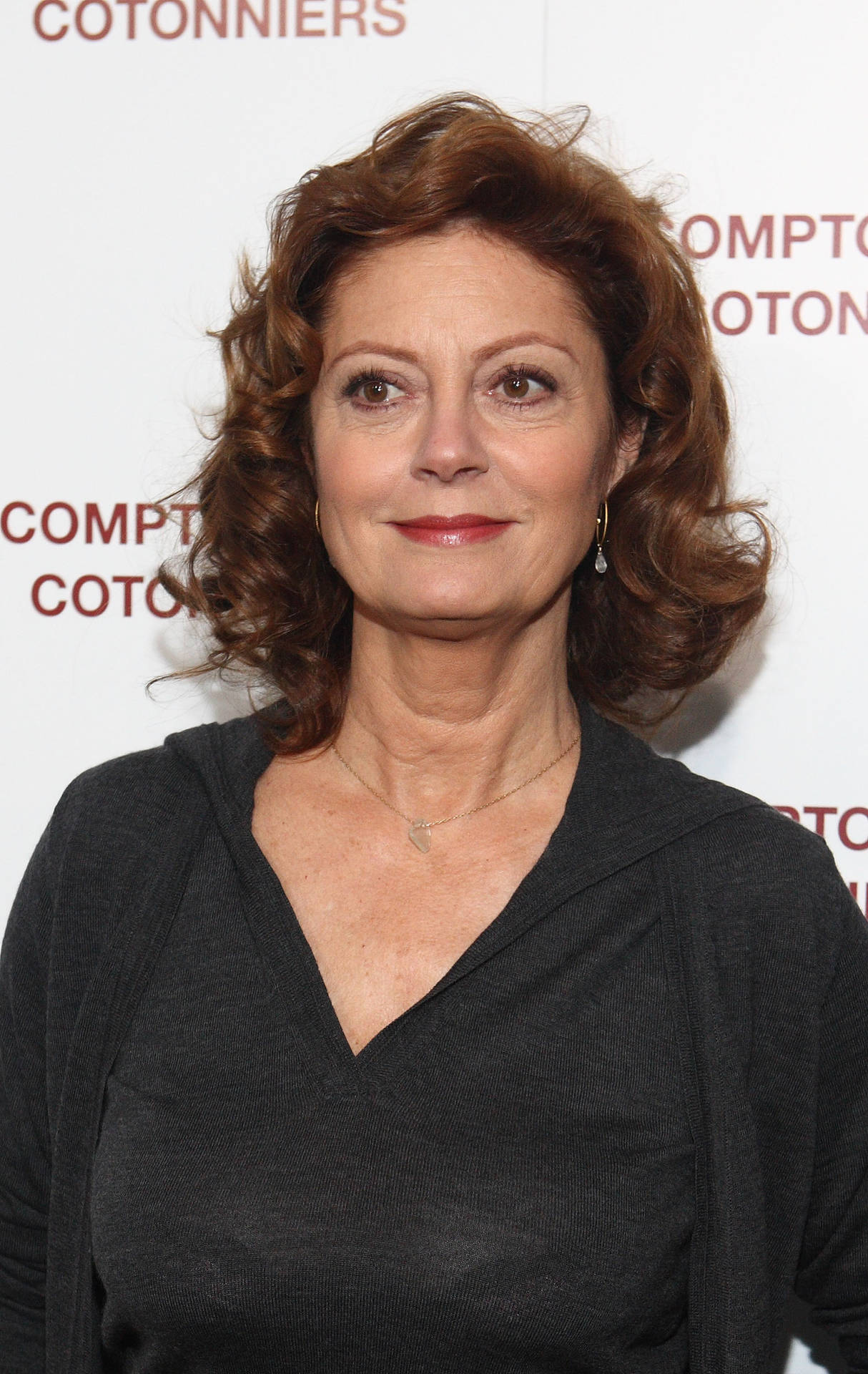 Susan Sarandon Award Winning Actress Background