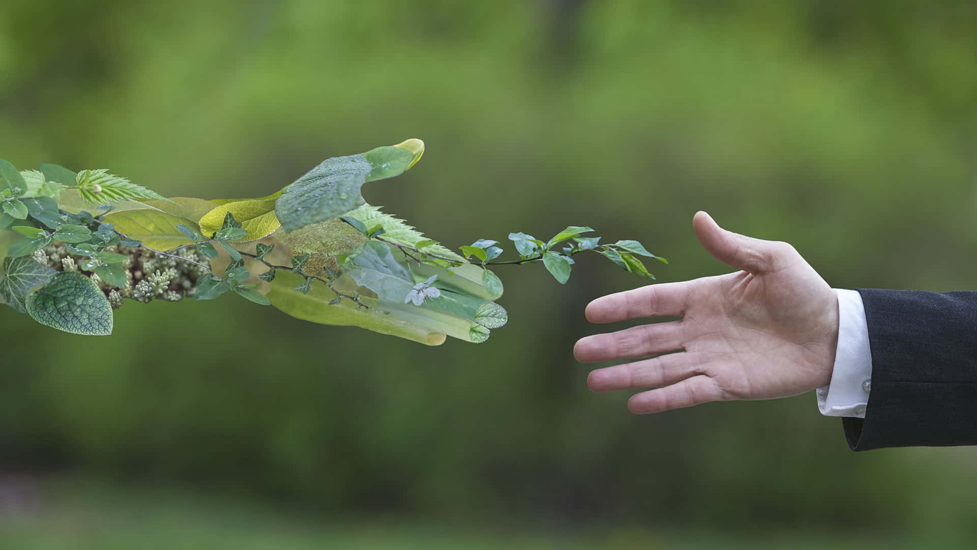 Sustainability Handshake Background