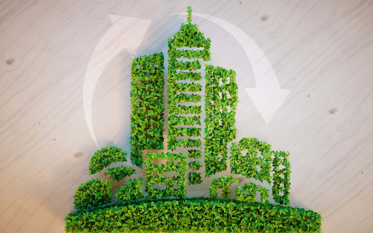 Sustainability Plant City Background