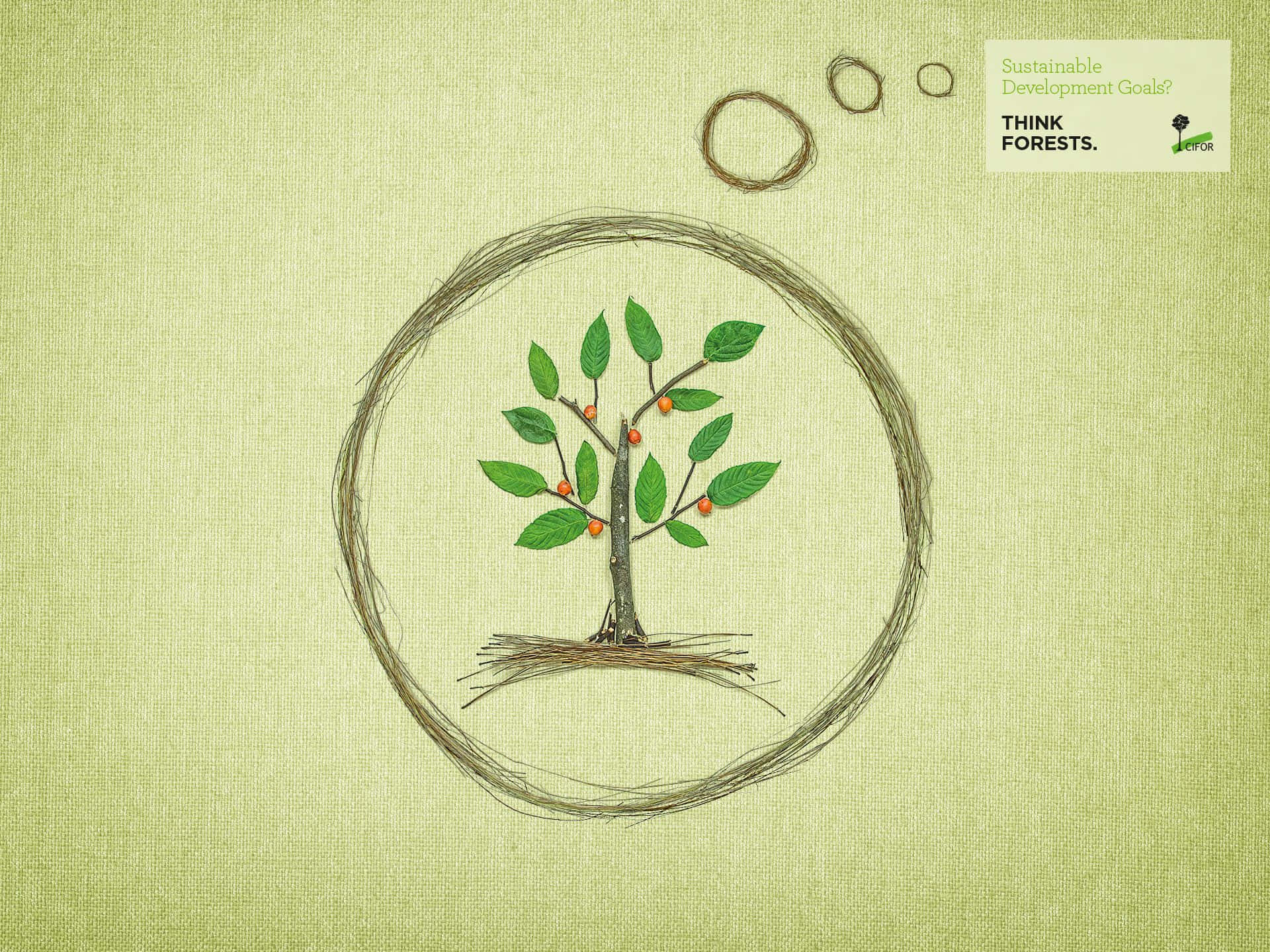 Sustainability Tree Drawing