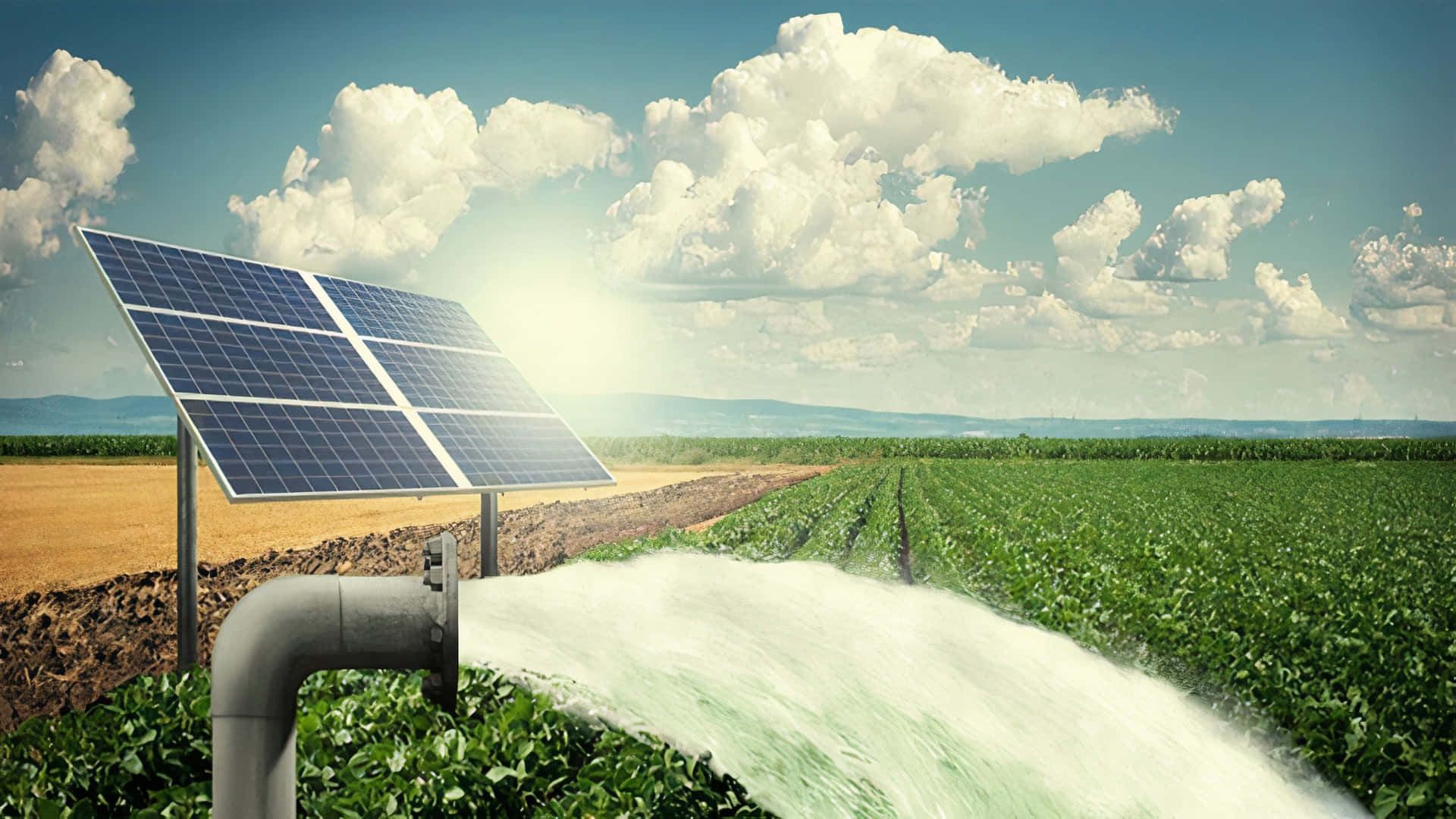 Sustainable Energy With Solar Panels In Rice Field Background