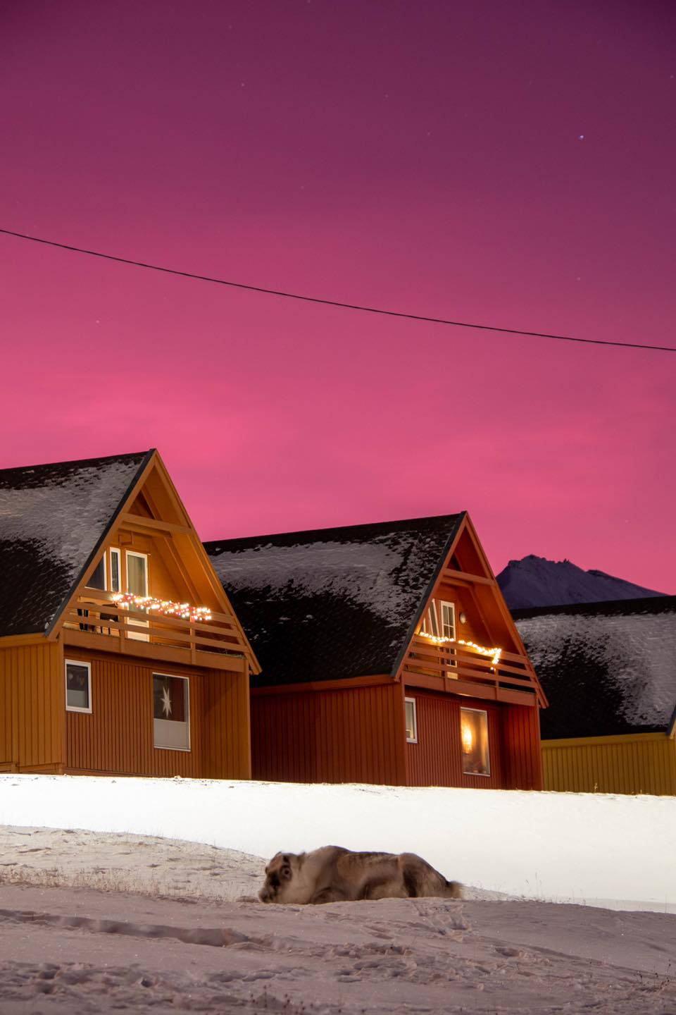 Svalbard Dark Pink Night Sky Background