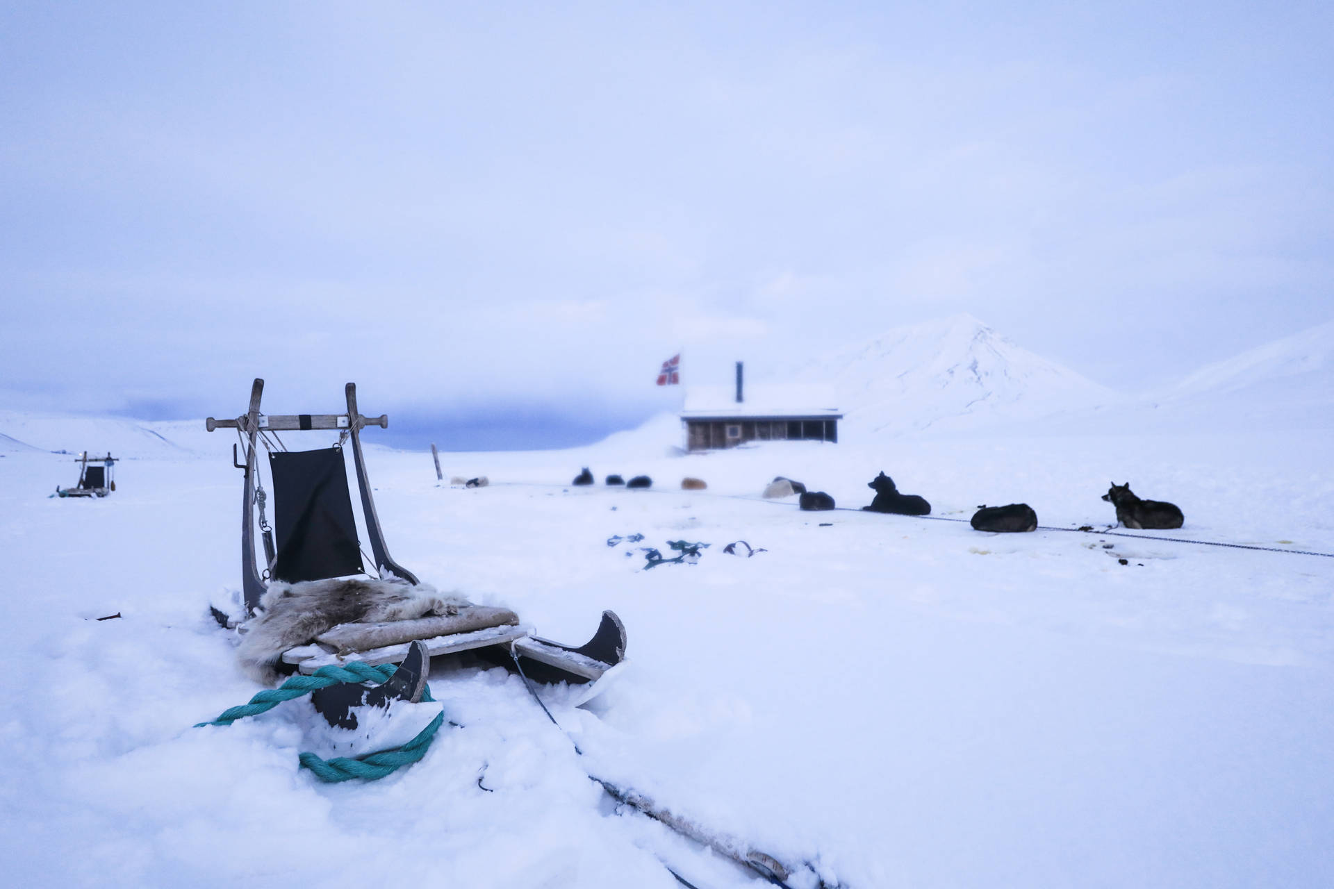 Svalbard Ice Sleds