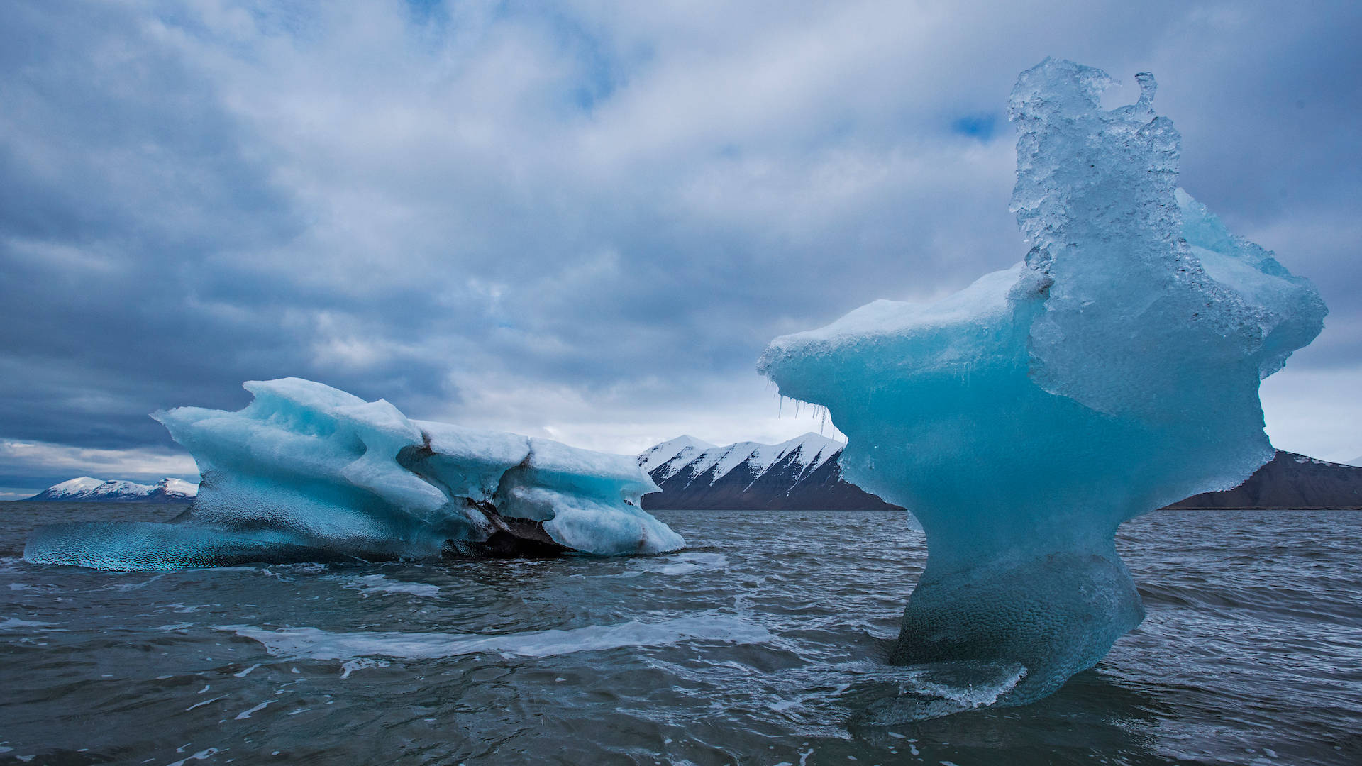 Svalbard Icebergs