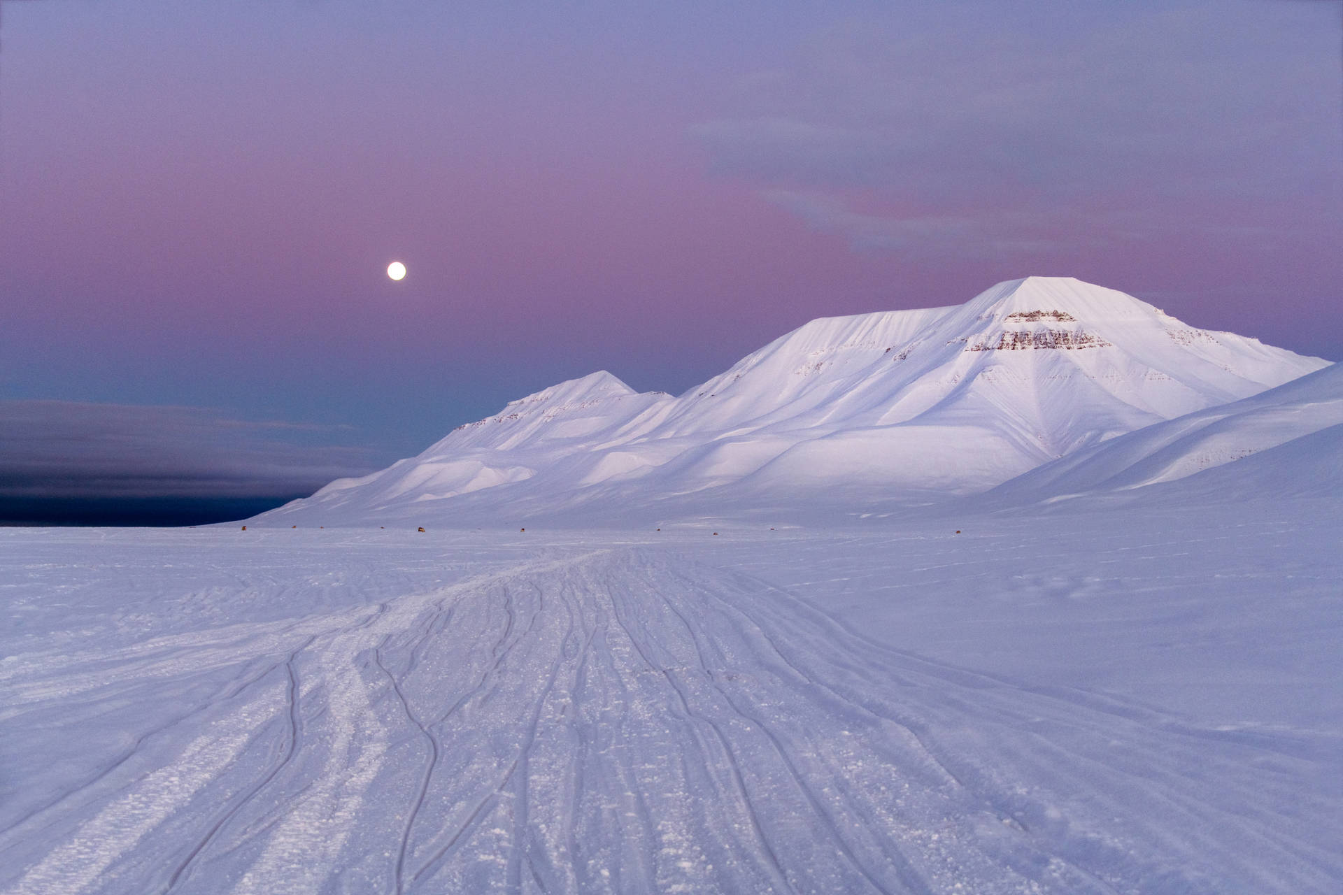 Svalbard Purple Sky And Sun