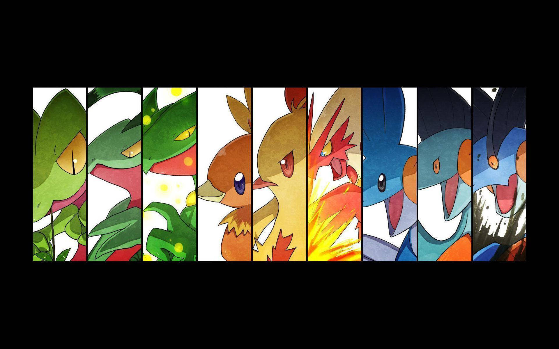 Swampert And Elemental Evolution Background