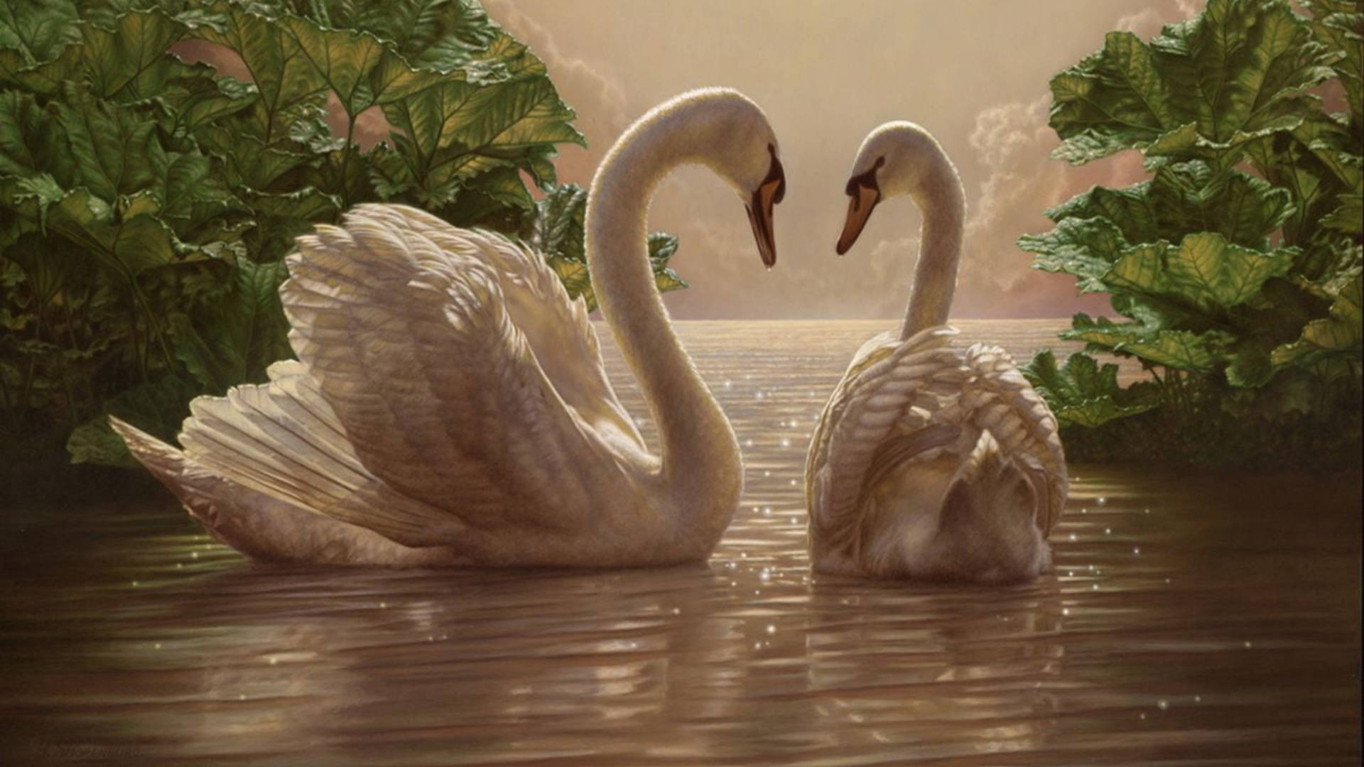 Swan Love Birds Painting Background