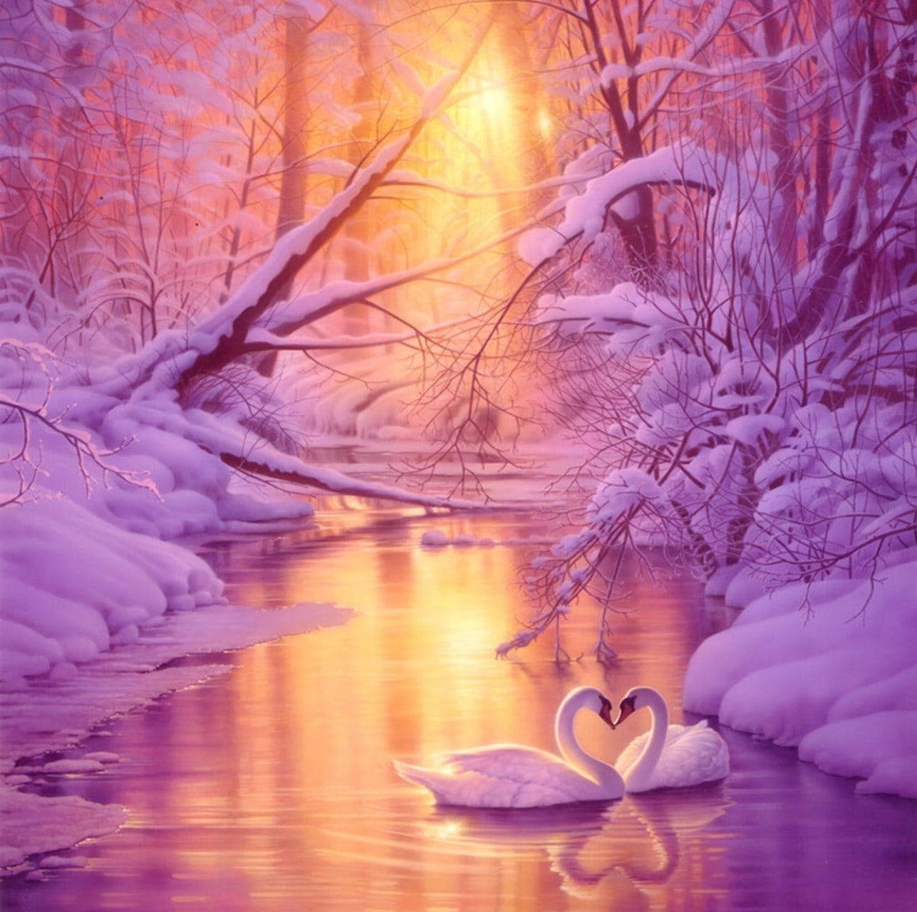 Swans In Snow Love Nature Background