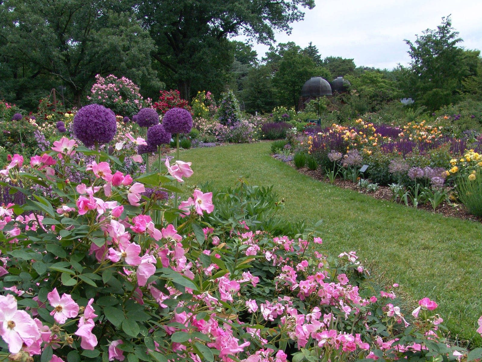 Swarthmore College Flower Garden Background