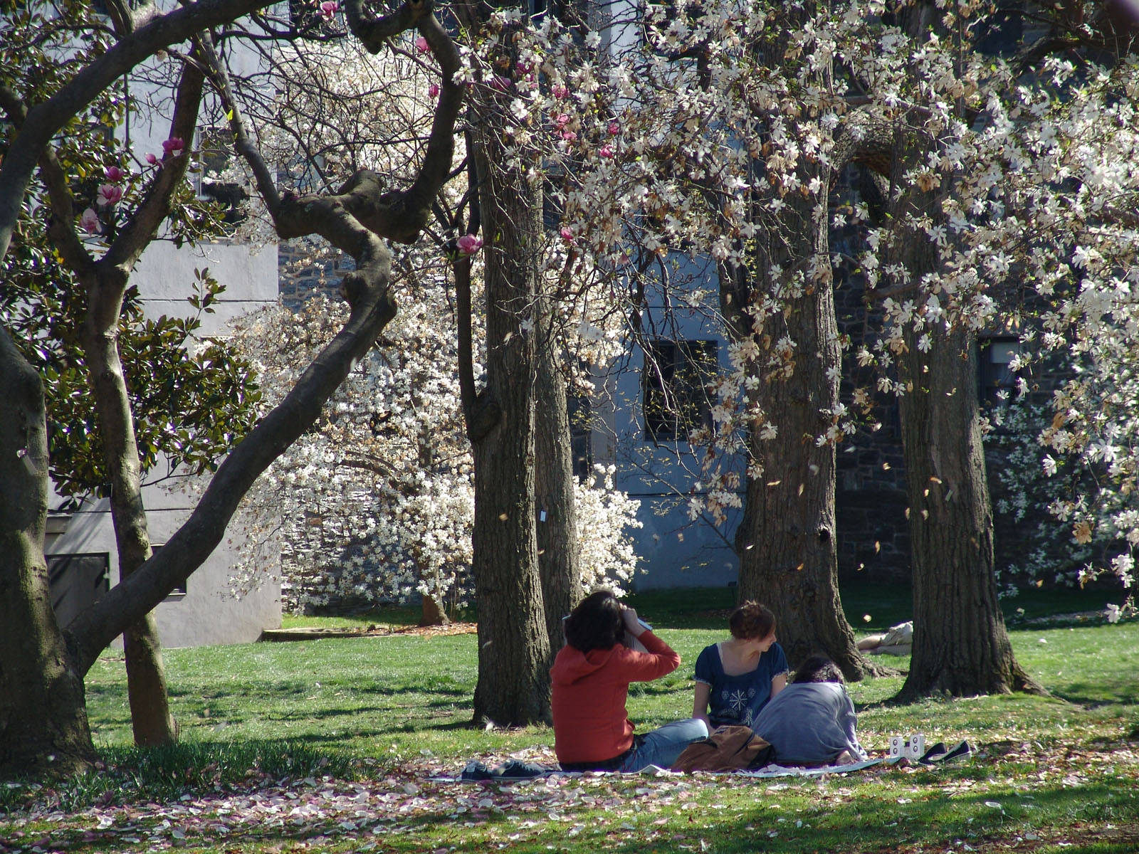 Swarthmore College Parque De La Quinta De Los Molinos Background