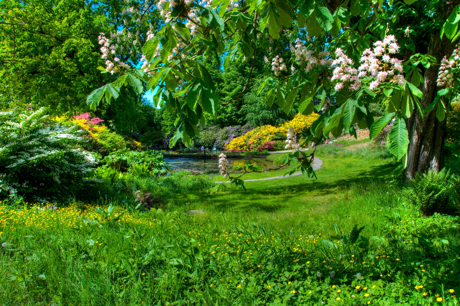 Sweden Garden Landscape Background