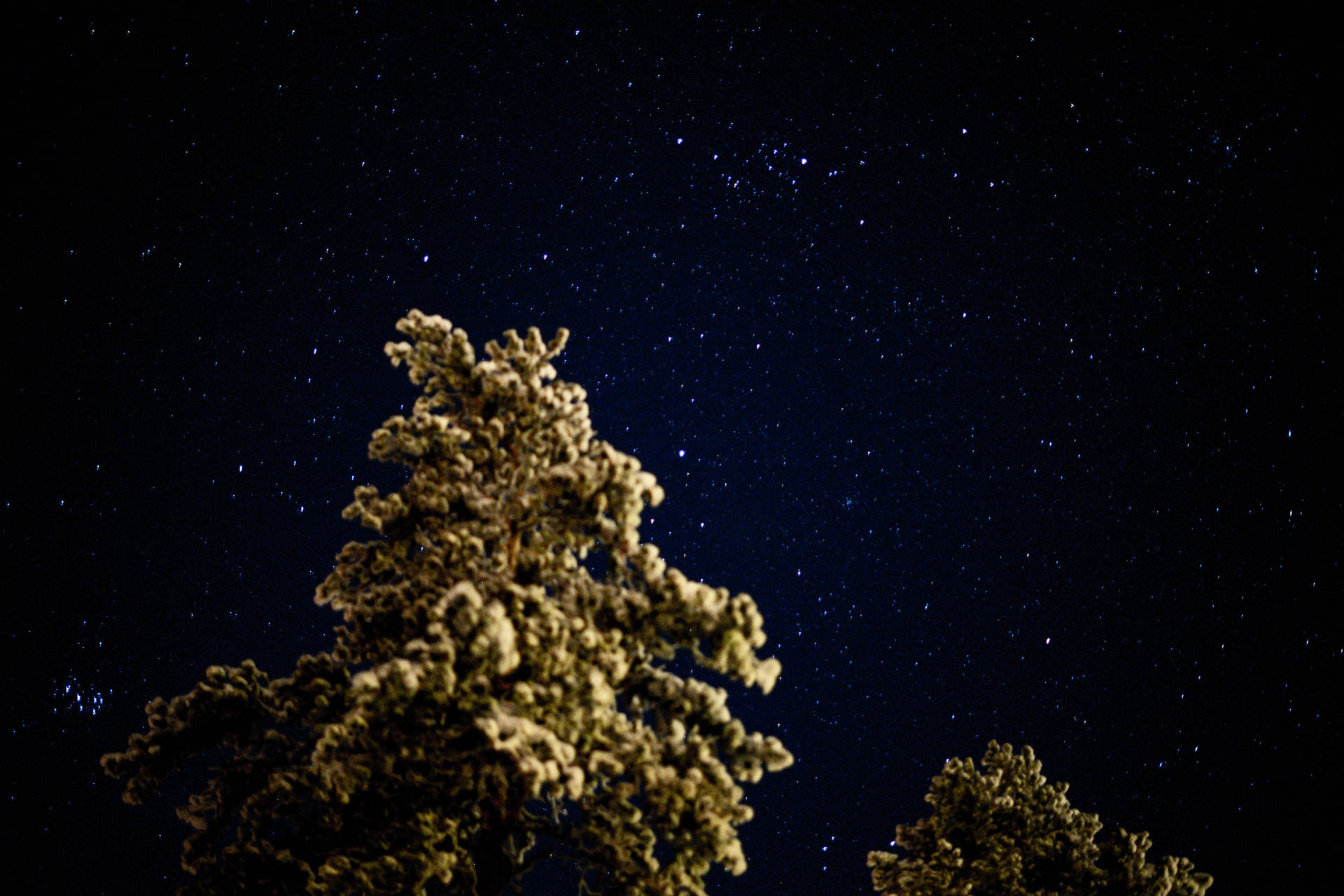 Sweden Tandadalen Night Sky