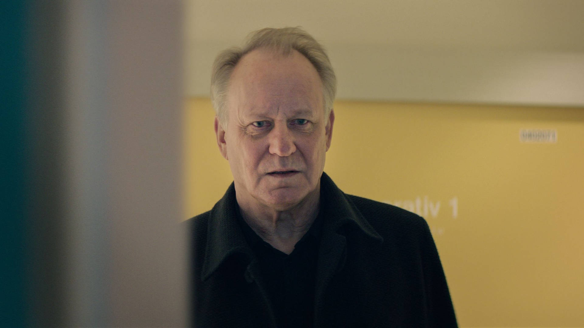 Swedish Actor Stellan Skarsgård 2019 Hope Still