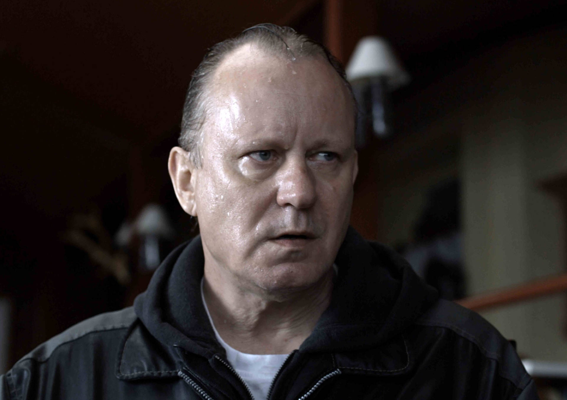 Swedish Actor Stellan Skarsgård A Somewhat Gentle Man Still