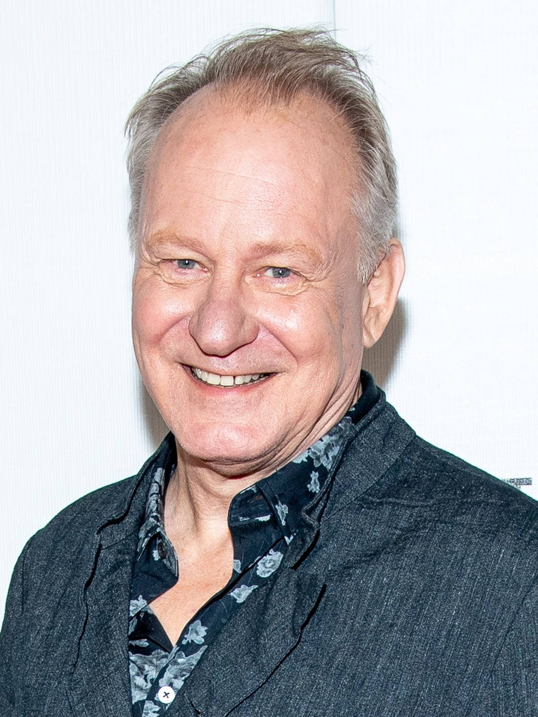 Swedish Actor Stellan Skarsgård At Tribeca Film Festival