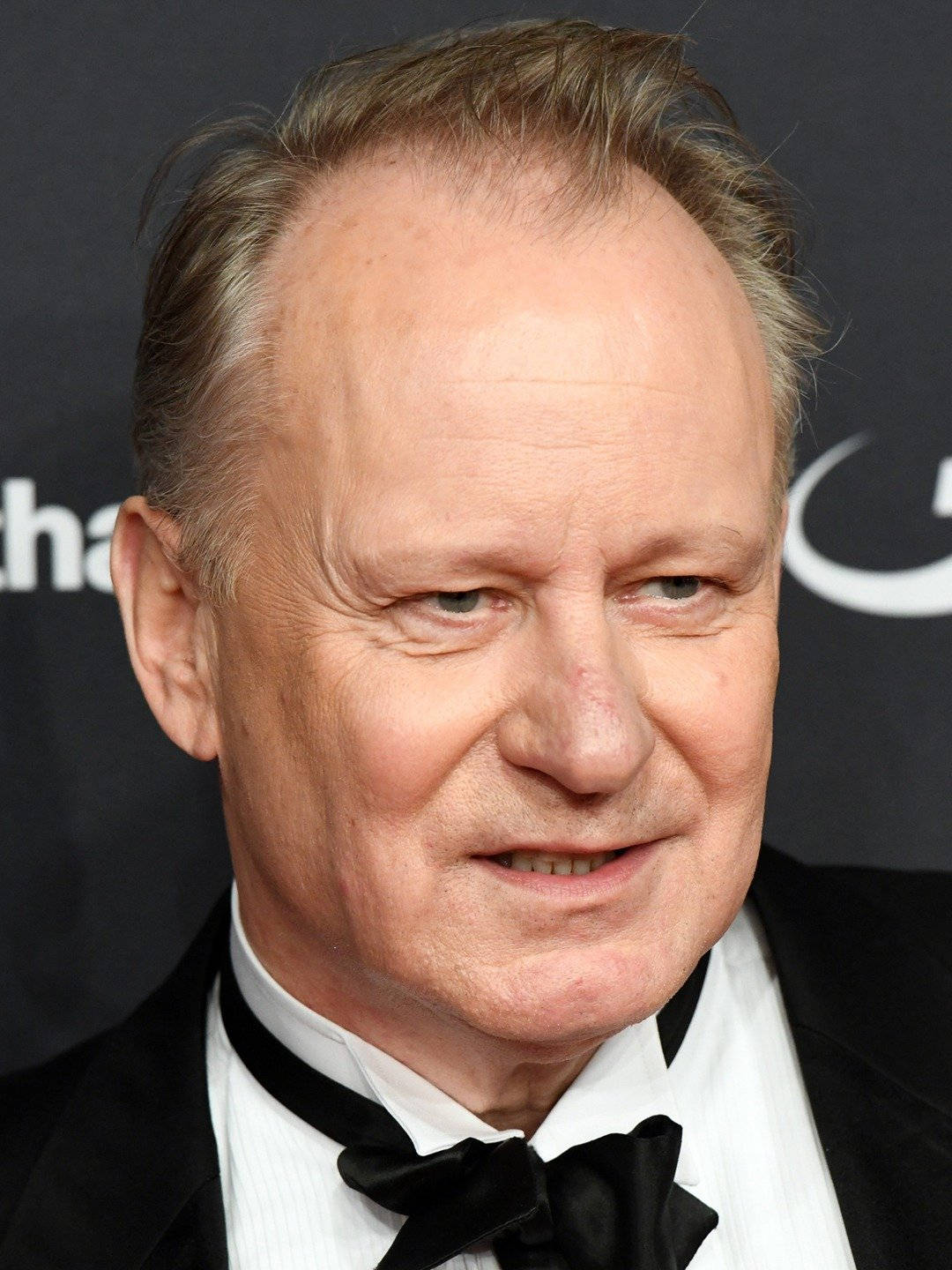 Swedish Actor Stellan Skarsgård The Golden Globe Awards Background