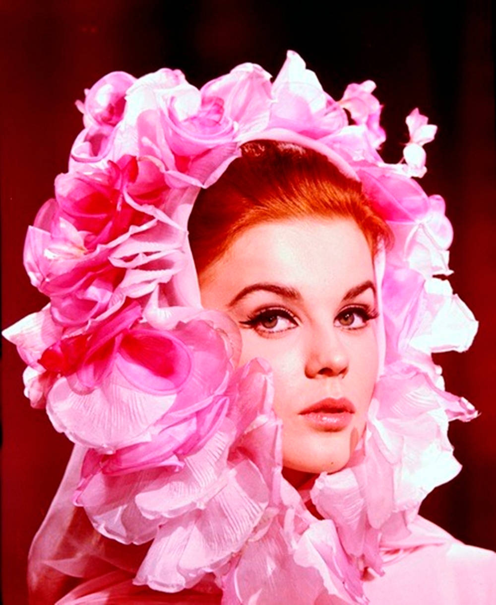 Swedish American Actress Ann Margret In Pink Ruffled Headdress Background