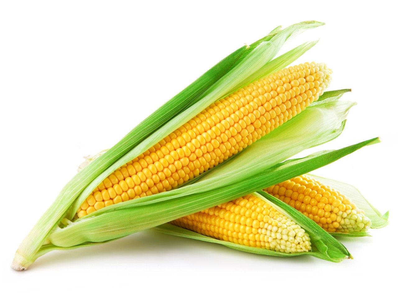 Sweet Corns In White Background