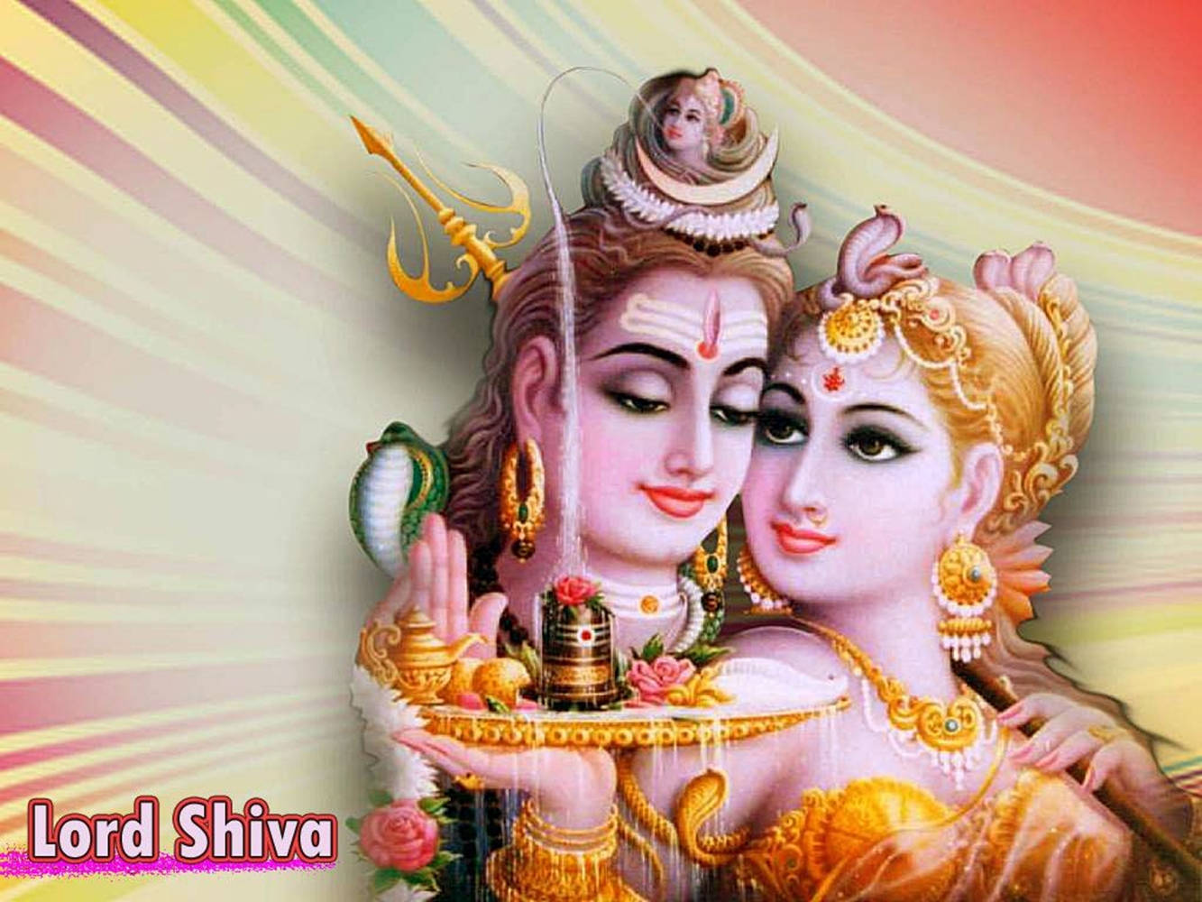 Sweet Husband And Wife Shiva Parvati Background