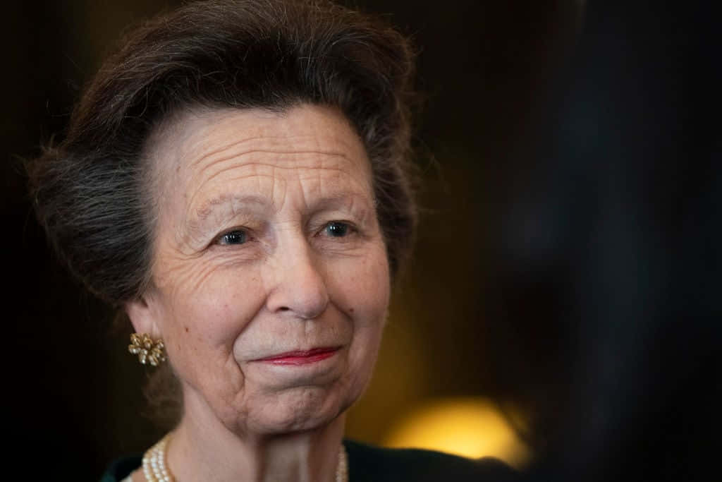 Sweet Smile Of Princess Anne