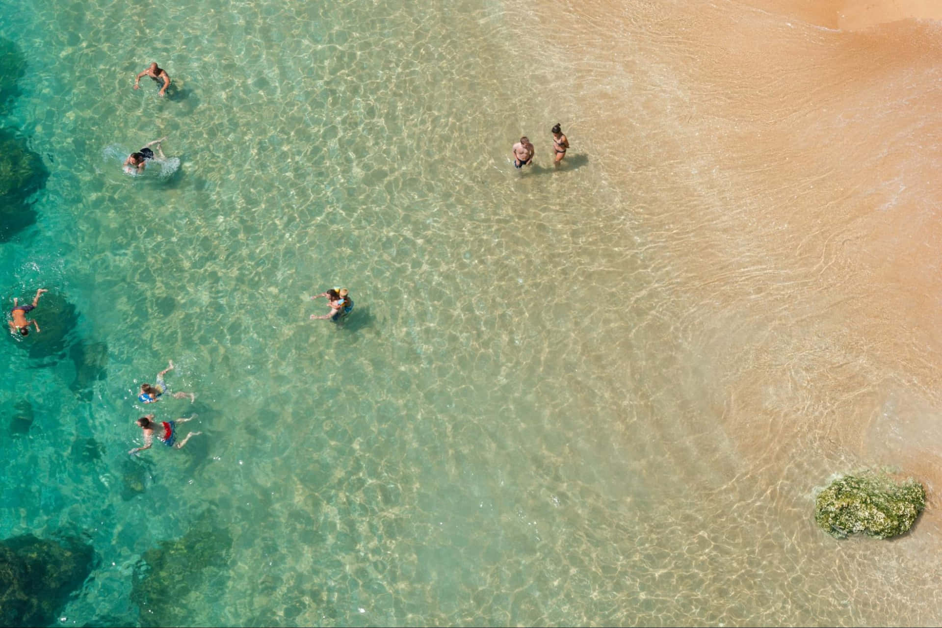 Swimming On The Shallow End Background