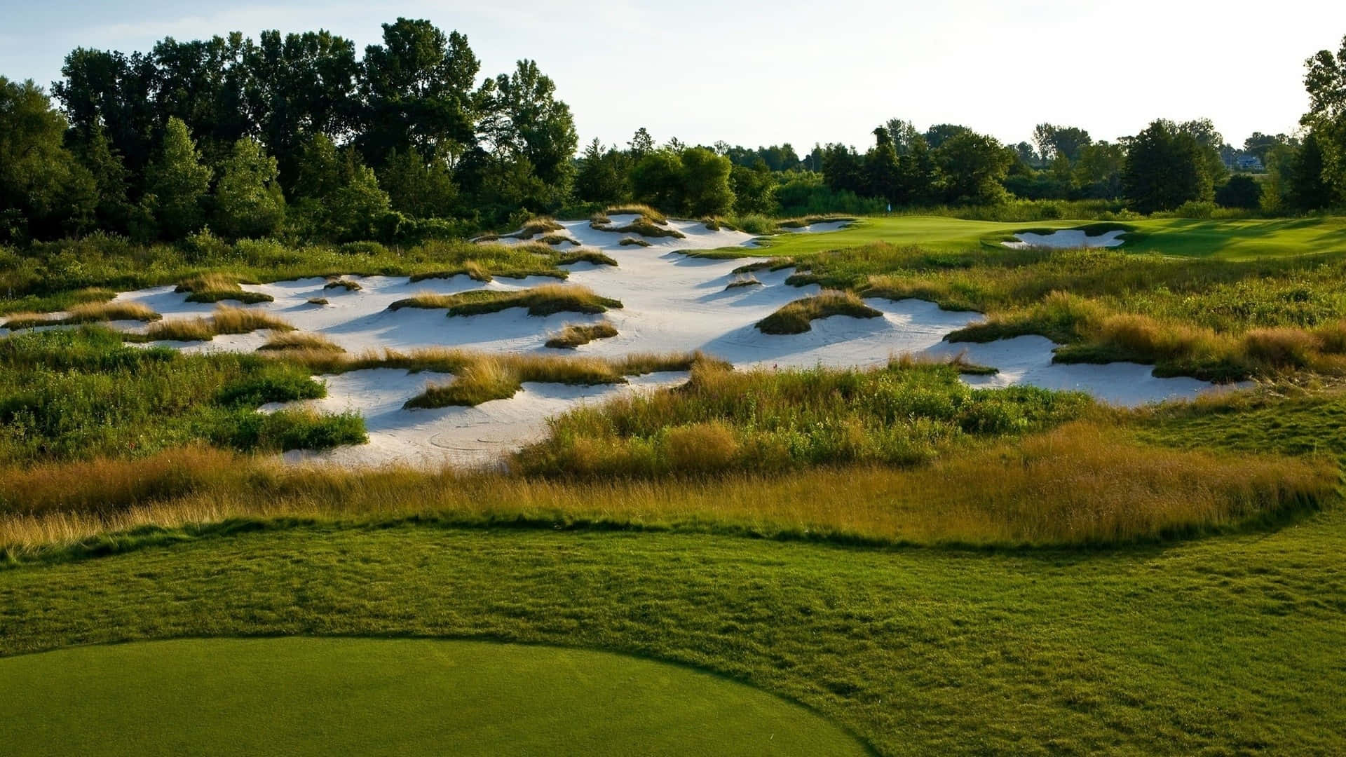 Swing Away On The Links Background