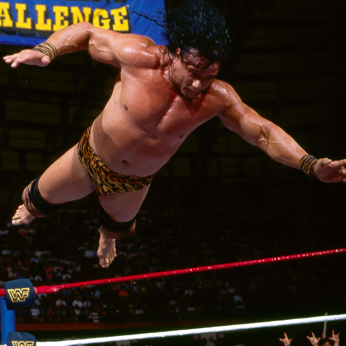 Swing It Jimmy Snuka Background